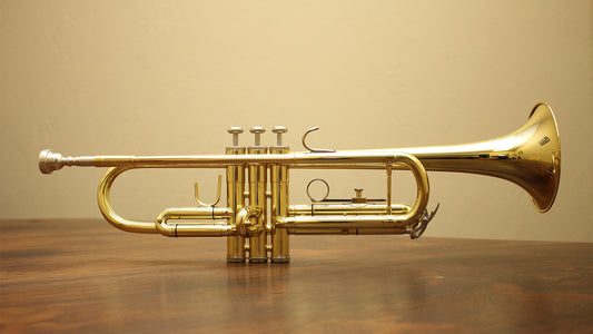 How to Care for Your Saxophone?