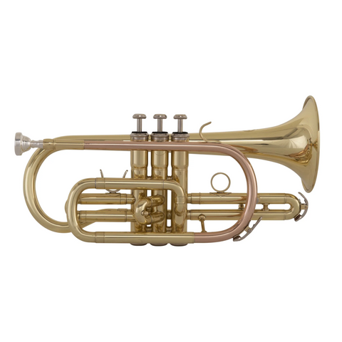 Grassi GR SC240 School Series Bb Cornet Grassi GR SC240 School Series Bb Cornet