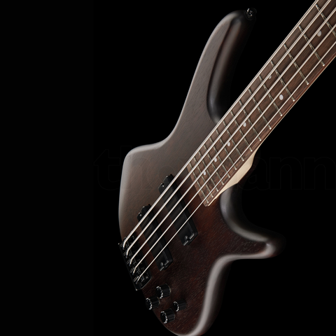 Ibanez GSR205B-WNF 5 String Electric Bass Guitar Ibanez GSR205B-WNF 5 String Electric Bass Guitar