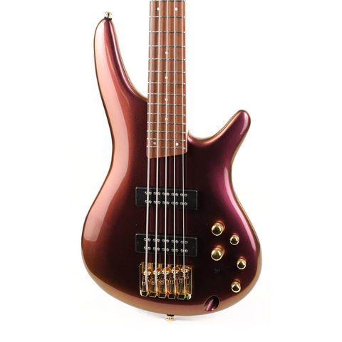 Ibanez SR305EDX-RGC 5 String Electric Bass Guitar Ibanez SR305EDX-RGC 5 String Electric Bass Guitar