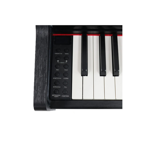 Steiner DP-250 Digital Piano – Black Steiner DP-250 Digital Piano – Black