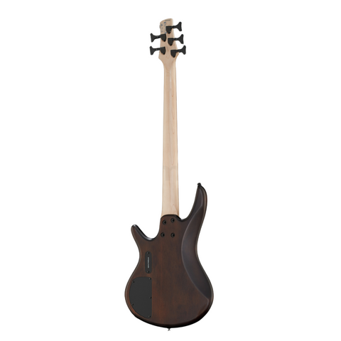 Ibanez GSR205B-WNF 5 String Electric Bass Guitar Ibanez GSR205B-WNF 5 String Electric Bass Guitar