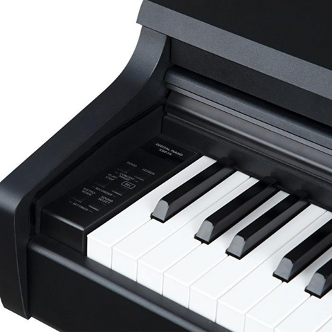Kawai KDP75B Digital Piano – Black Kawai KDP75B Digital Piano – Black