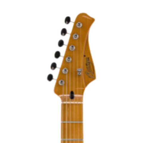 Blackbird A200 Great Egret Electric Guitar with Hard Case - Sunburst