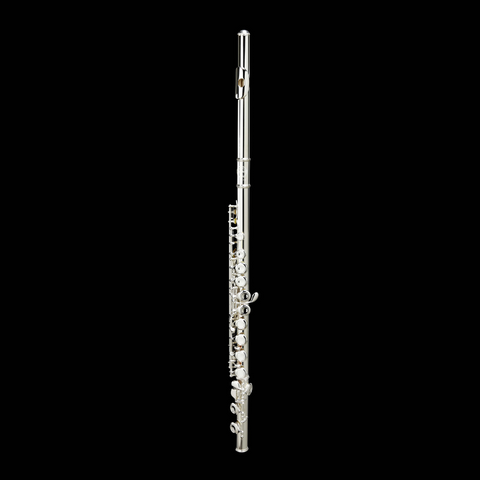 Grassi GR FL20SK Student Flute Kit – Double Headjoint Grassi GR FL20SK Student Flute Kit – Double Headjoint