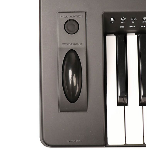 Medeli A810 61-Key Arranger Keyboard Medeli A810 61-Key Arranger Keyboard