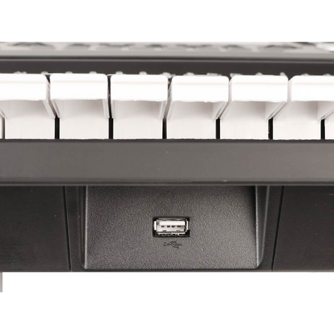 Medeli A810 61-Key Arranger Keyboard Medeli A810 61-Key Arranger Keyboard
