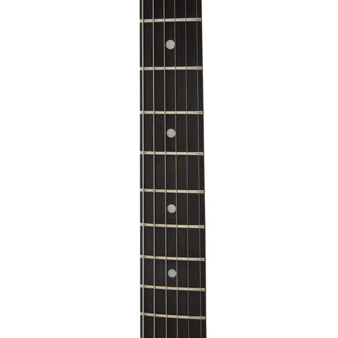 Blackbird Auriga A100 Raven Electric Guitar - Flat Black Blackbird Auriga A100 Raven Electric Guitar - Flat Black