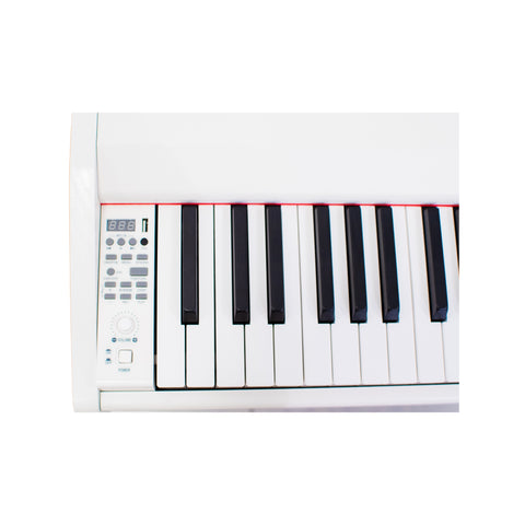 Steiner DP-450 Digital Piano - White Steiner DP-450 Digital Piano - White