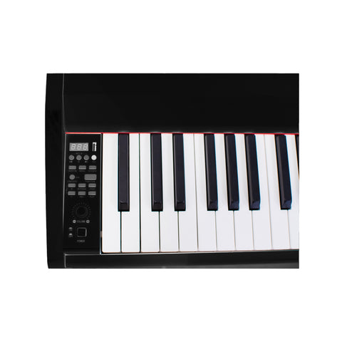 Steiner Digital Piano DP-450 Black with Free bench (2024 Version)