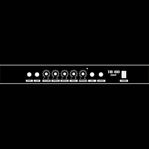 Steiner RX-TB60 Bass Guitar Amp 60 Watts - Black Steiner RX-TB60 Bass Guitar Amp 60 Watts - Black