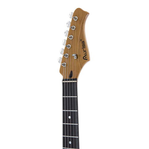 Blackbird Auriga A100 Raven Electric Guitar - Flat Black Blackbird Auriga A100 Raven Electric Guitar - Flat Black