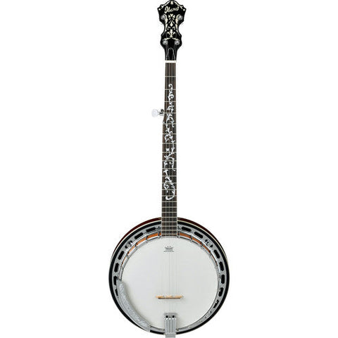 Ibanez B200 5 STRING BANJO Ibanez B200 5 STRING BANJO