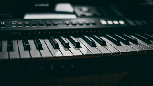 Steiner P115 Piano Keyboard Review: A Technical Breakdown