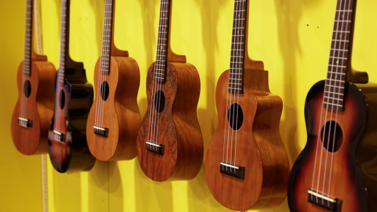 Ukulele Sizes Explained - Soprano, Concert, Tenor, And Baritone