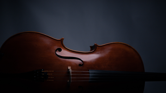 Why Franz Sandner Is the Best Choice for Violinists?