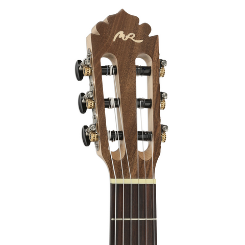 Manuel Rodríguez ECOLOGÍA Samba Plano E-Acoustic