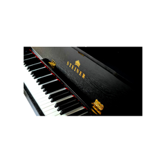 بيانو شتاينر DP-1400B رقمي - أسود