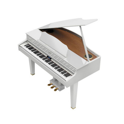 Roland Digital Grand Piano GP-607 White