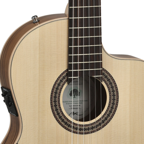 Manuel Rodríguez ECOLOGÍA Samba Plano E-Acoustic