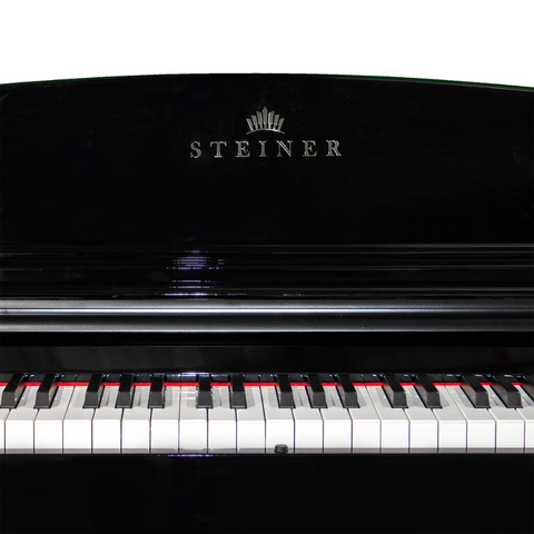 Steiner DP-850 Digital Piano - Black