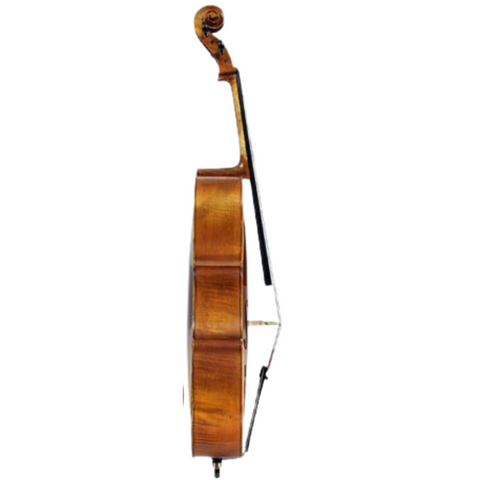 Franz Sandner Cello SC-6 4/4 Natural