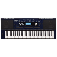 Roland E-X30 Portable 61 Key Arranger Keyboard | Melodica Music Store Dubai