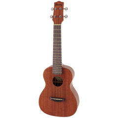 Ibanez UKC100-OPN Concert Ukulele - Open Pore Natural | Melodica Music Store Dubai