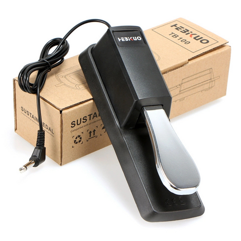 Hebikuo TB100 Digital Keyboard Piano Sustain Pedal