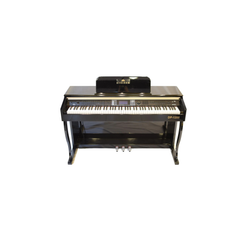 Steiner DP‑1200 Digital Piano - Black