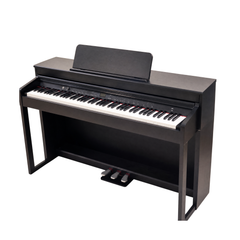 Steiner DP-701 Digital Piano – Black