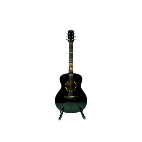 Steiner AG-M12 Acoustic Guitar – Black