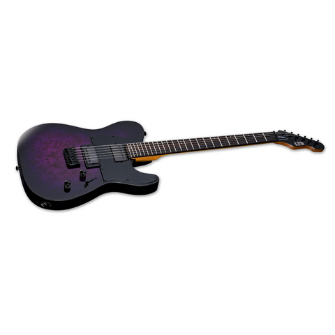 ESP LTD TE‑200DX Electric Guitar – Purple Burst
