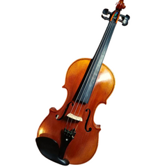 Franz Sandner SV-4 Violin With Case 1/4 Natural
