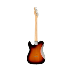 Fender Player Telecaster electric guitar back view, three-colour sunburst with maple neck