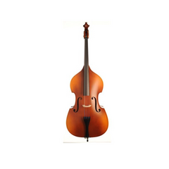 Franz Sandner Double Bass 500P 3/4 - Natural