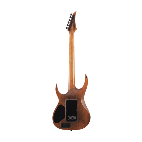 Solar A1.6AAN Electric Guitar – Aged Natural Matte