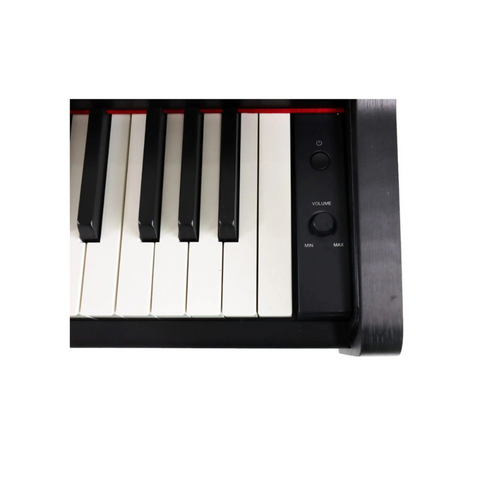 Steiner Digital Piano DP-250 Black with free bench