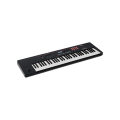 Roland XPS-10X Expandable Synthesizer - Black