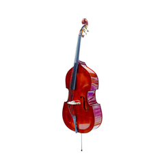 Steiner ST-B10 Double Bass 1/2 Size – Natural