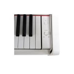 Steiner DP-250 Digital Piano – White