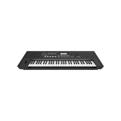 Roland E-X50 Arranger Keyboard - Black