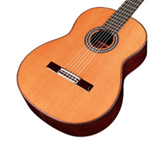 Cordoba C10 CD body close-up, cedar top with rosette and left-handed string layout