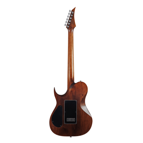 Solar T1.6D 6-String Electric Guitar – Aged Natural Matte