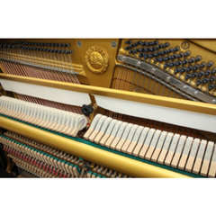 Yamaha U2H piano interior, gold plate with Yamaha crest, hammers and strings