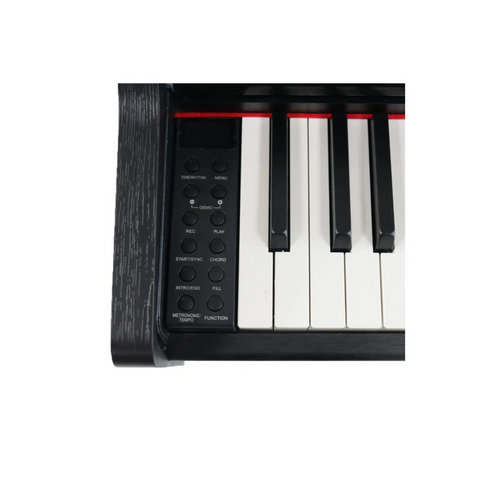 Steiner Digital Piano DP-250 Black with free bench