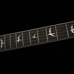 PRS SE Zach Myers Signature Semi-Hollow – أزرق مايرز