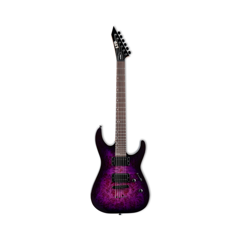 ESP LTD M-200DX NT Electric Guitar – Purple Burst