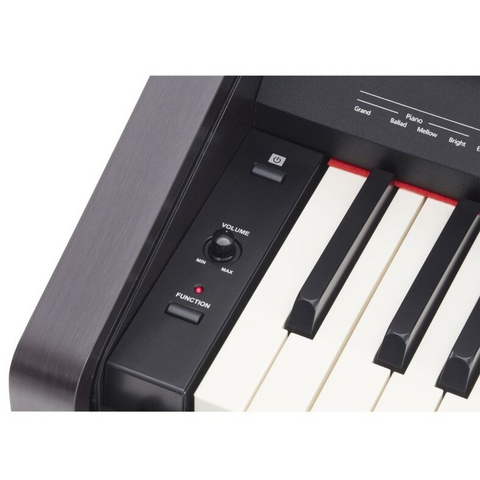 Roland RP30 Digital Piano - Rosewood