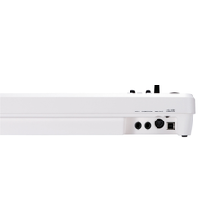 Roland A-49 MIDI Keyboard Controller - White